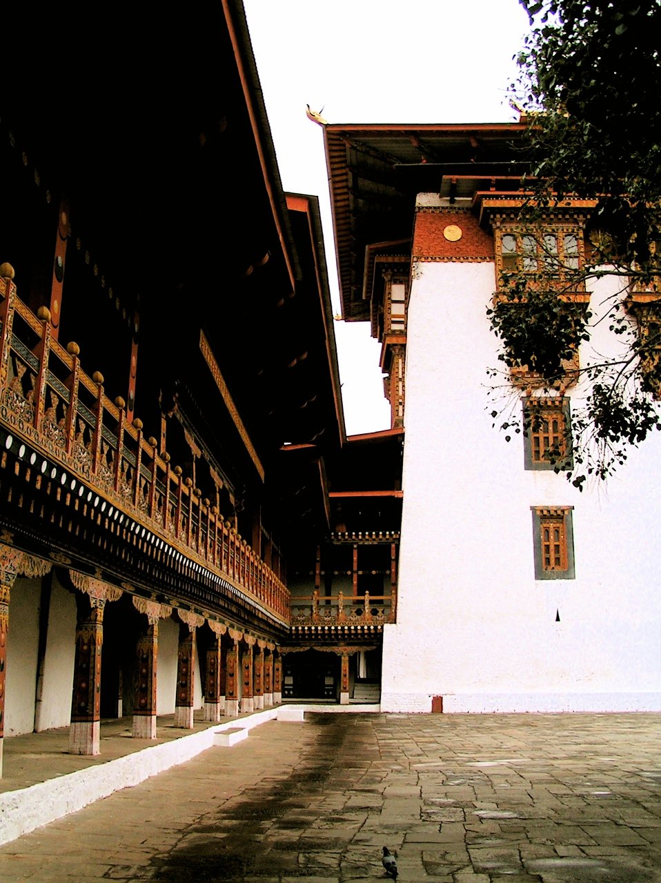 Dzong_in_Punakha